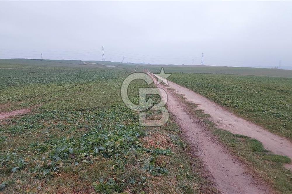Tekirdağ Çorlu Türkgücü'de Satılık 20.650 m2 Tek Tapu Tarla