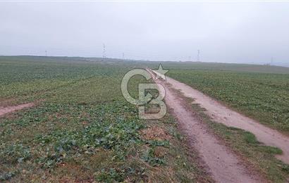 Tekirdağ Çorlu Türkgücü'de Satılık 20.650 m2 Tek Tapu Tarla