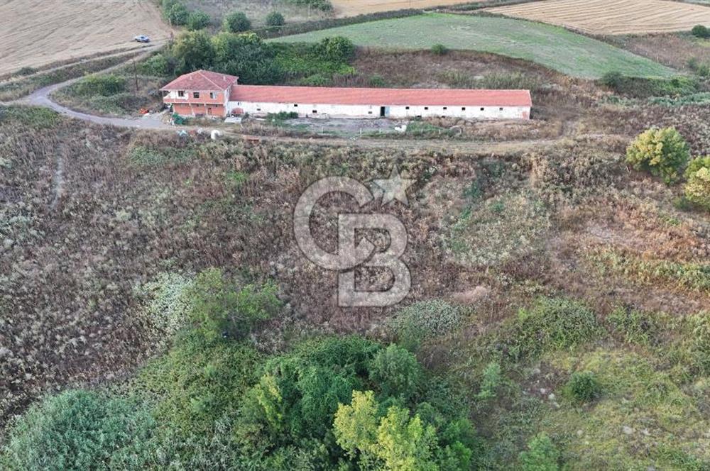 ÇİFTLİKKÖY KABAKLI DA SATILIK 47.375M2 ARAZİ VE MÜŞTEMİLAT!