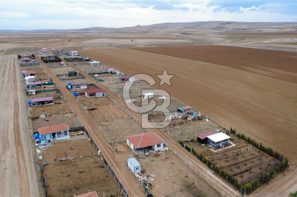  GÖLBAŞOI HACIMURATLI TEK TAPU TARLA 