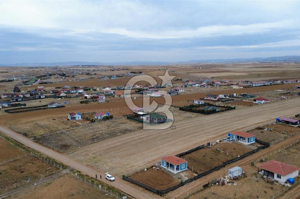  GÖLBAŞOI HACIMURATLI TEK TAPU TARLA 