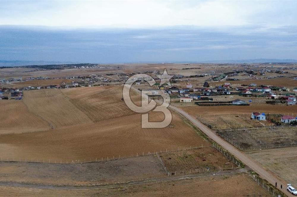  GÖLBAŞOI HACIMURATLI TEK TAPU TARLA 