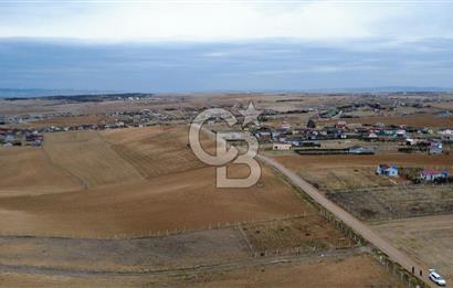  GÖLBAŞOI HACIMURATLI TEK TAPU TARLA 