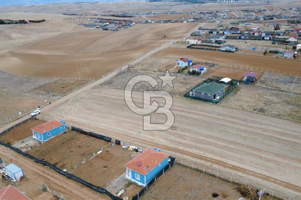  GÖLBAŞOI HACIMURATLI TEK TAPU TARLA 