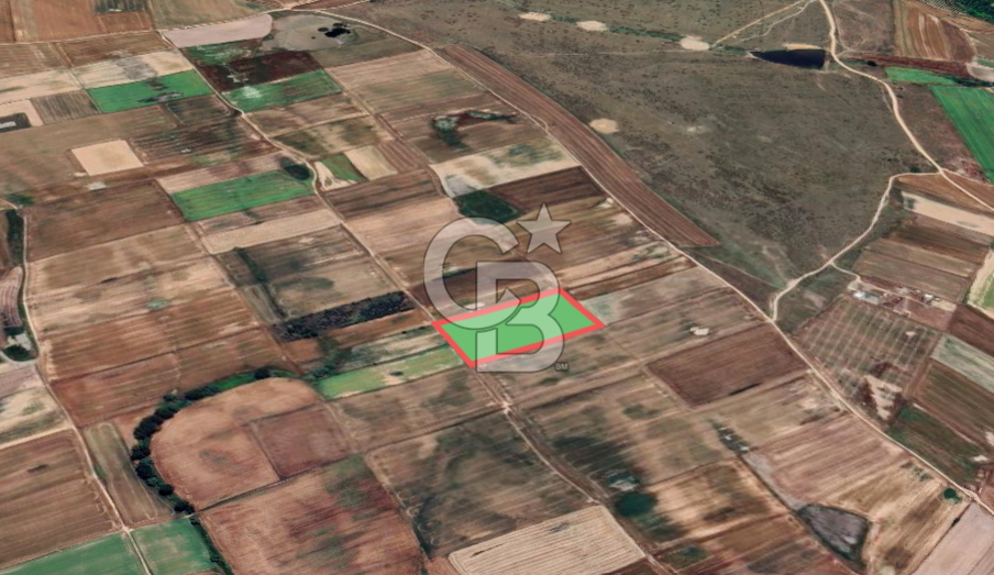 Tekirdağ Çorlu Türkgücü'de Satılık 20.650 m2 Tek Tapu Tarla