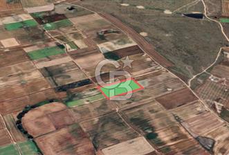 Tekirdağ Çorlu Türkgücü'de Satılık 20.650 m2 Tek Tapu Tarla - 5 - 330753