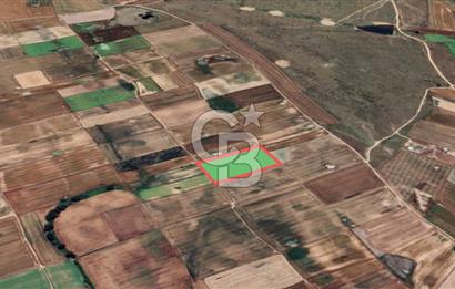 Tekirdağ Çorlu Türkgücü'de Satılık 20.650 m2 Tek Tapu Tarla