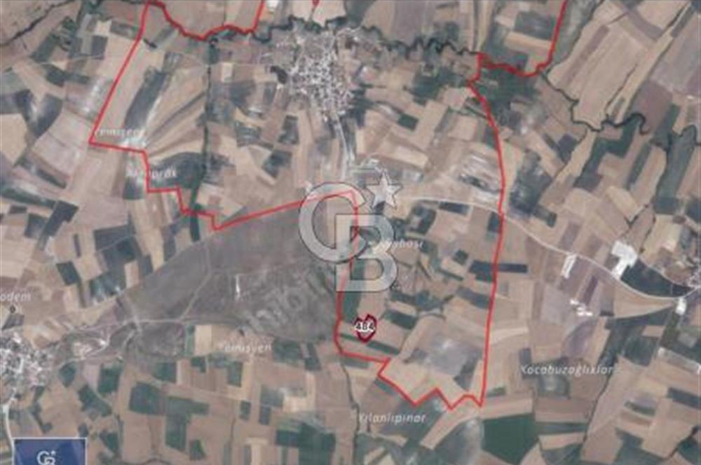 CB Leader'dan Bandırma Orhaniye'de satılık zeytinlik