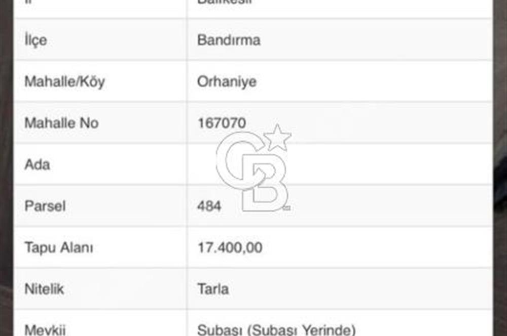 CB Leader'dan Bandırma Orhaniye'de satılık zeytinlik