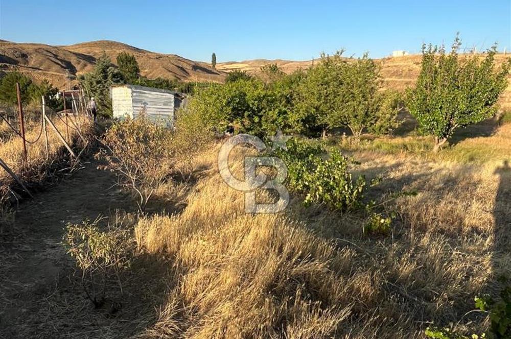 YOZGAT ŞEFAATLİ YOL AYIRIMINDA SALMANFAKILI KÖYÜNDE YATIRIMLIK BAHÇE&TARLA