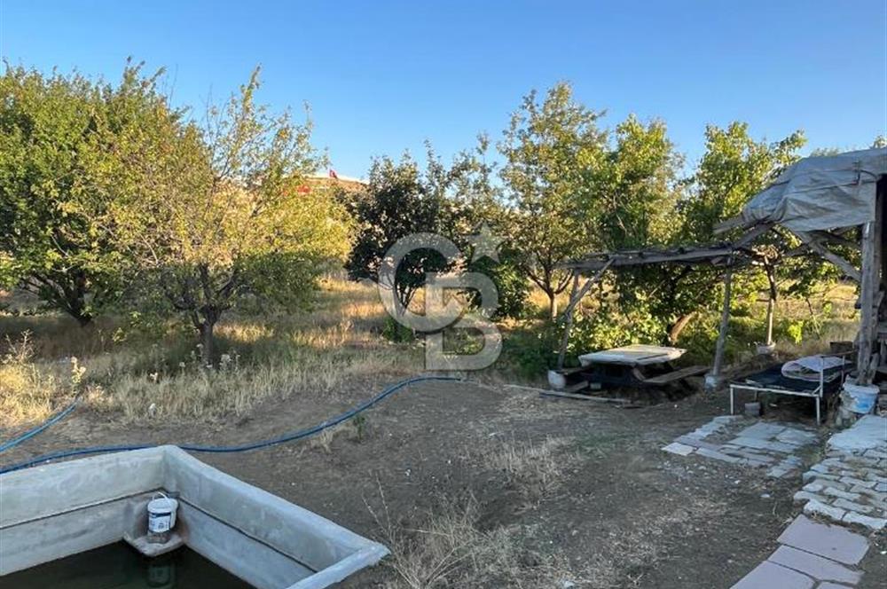 YOZGAT ŞEFAATLİ YOL AYIRIMINDA SALMANFAKILI KÖYÜNDE YATIRIMLIK BAHÇE&TARLA