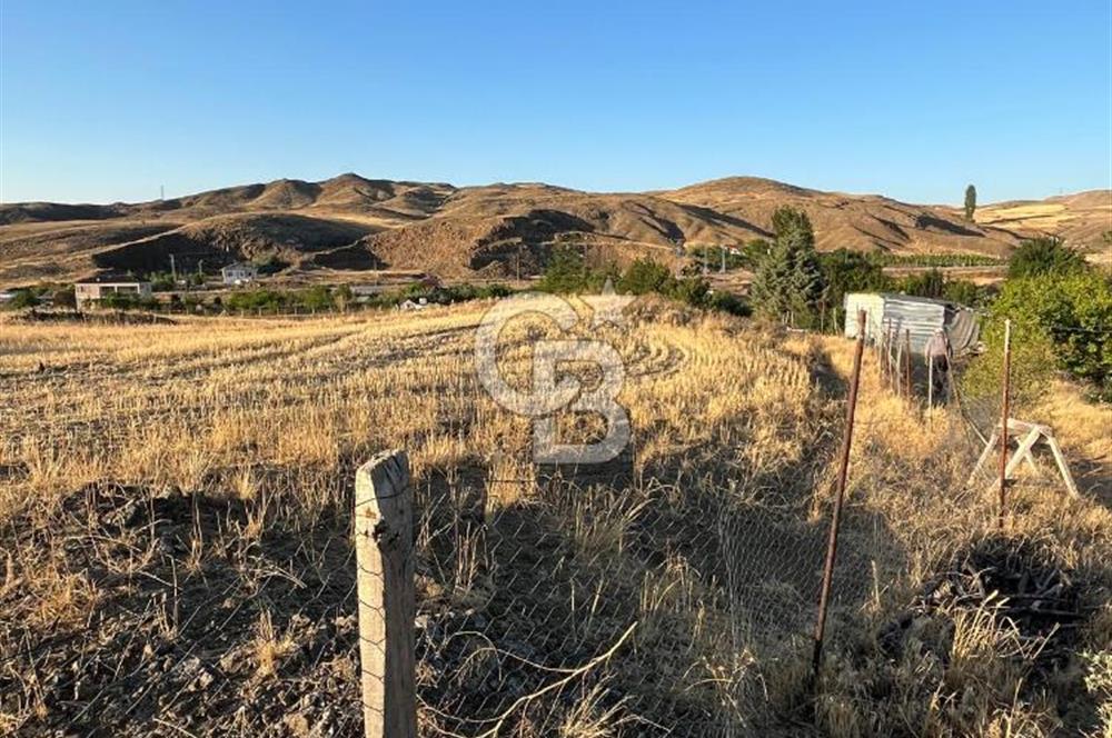 YOZGAT ŞEFAATLİ YOL AYIRIMINDA SALMANFAKILI KÖYÜNDE YATIRIMLIK BAHÇE&TARLA