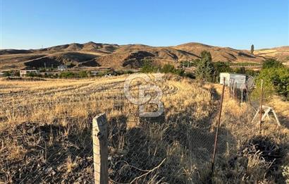 YOZGAT ŞEFAATLİ YOL AYIRIMINDA SALMANFAKILI KÖYÜNDE YATIRIMLIK BAHÇE&TARLA
