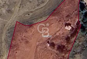 YOZGAT ŞEFAATLİ YOL AYIRIMINDA SALMANFAKILI KÖYÜNDE YATIRIMLIK BAHÇE&TARLA - 1 - 330775