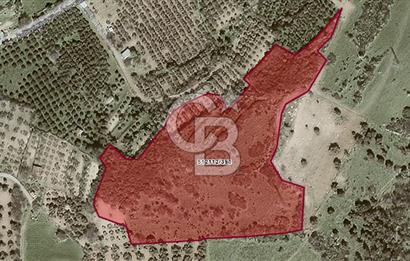 MUSELAND - FOÇA KOZBEYLİ'DE HİSSE TAPULU SATILIK TARLA