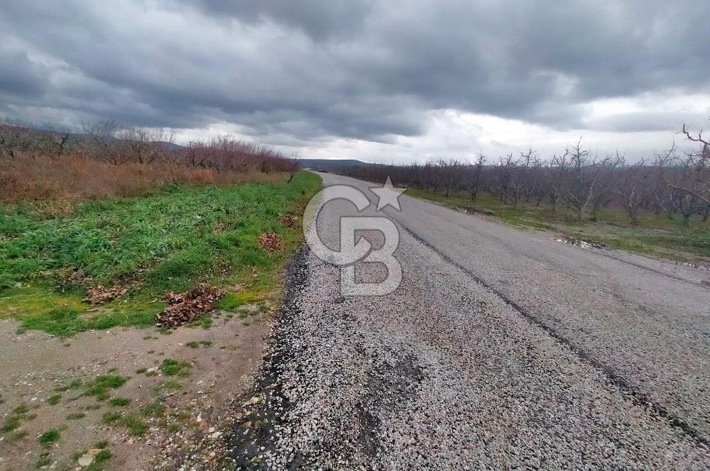 Yağcılar Sınırında Kalabalıya Yakın 4.912 m² Tarla Daire Takas