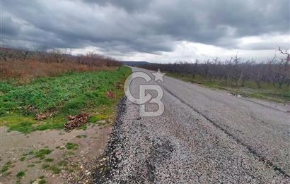 Yağcılar Sınırında Kalabalıya Yakın 4.912 m² Tarla Daire Takas