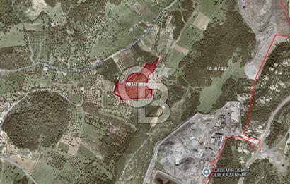 MUSELAND - FOÇA KOZBEYLİ'DE HİSSE TAPULU SATILIK TARLA