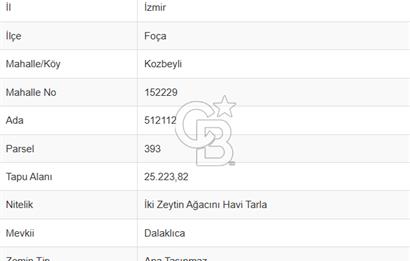 MUSELAND - FOÇA KOZBEYLİ'DE HİSSE TAPULU SATILIK TARLA