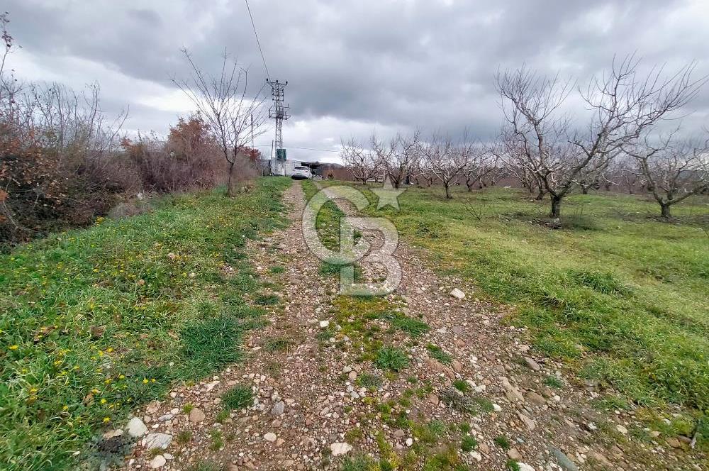 Yağcılar Sınırında Kalabalıya Yakın 4.912 m² Tarla Daire Takas