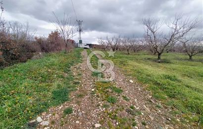 Yağcılar Sınırında Kalabalıya Yakın 4.912 m² Tarla Daire Takas