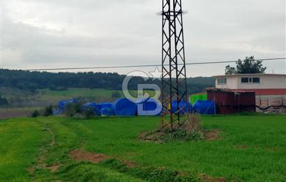 Yağcılar Sınırında Kalabalıya Yakın 4.912 m² Tarla Daire Takas