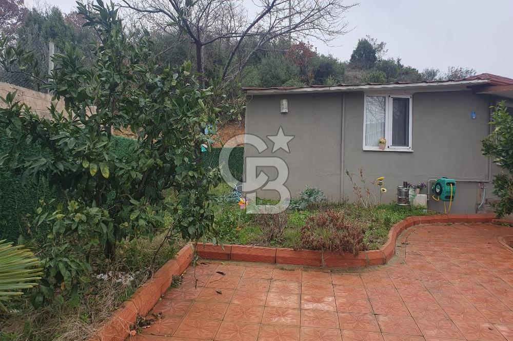 YALOVA TERMAL AKKÖYDE DOĞAYLA İÇİÇE MÜSTAKİL BAHÇELİ 3+1 EV