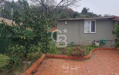 YALOVA TERMAL AKKÖYDE DOĞAYLA İÇİÇE MÜSTAKİL BAHÇELİ 3+1 EV