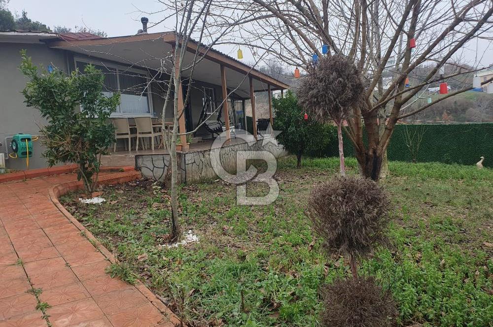 YALOVA TERMAL AKKÖYDE DOĞAYLA İÇİÇE MÜSTAKİL BAHÇELİ 3+1 EV