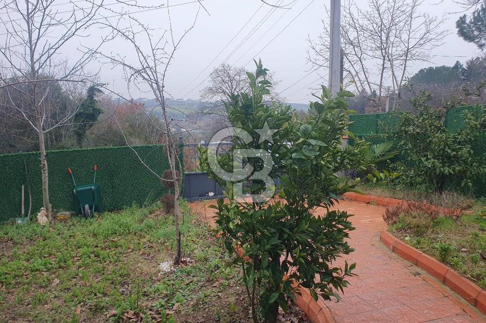 YALOVA TERMAL AKKÖYDE DOĞAYLA İÇİÇE MÜSTAKİL BAHÇELİ 3+1 EV