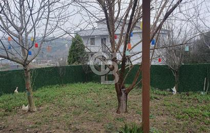 YALOVA TERMAL AKKÖYDE DOĞAYLA İÇİÇE MÜSTAKİL BAHÇELİ 3+1 EV