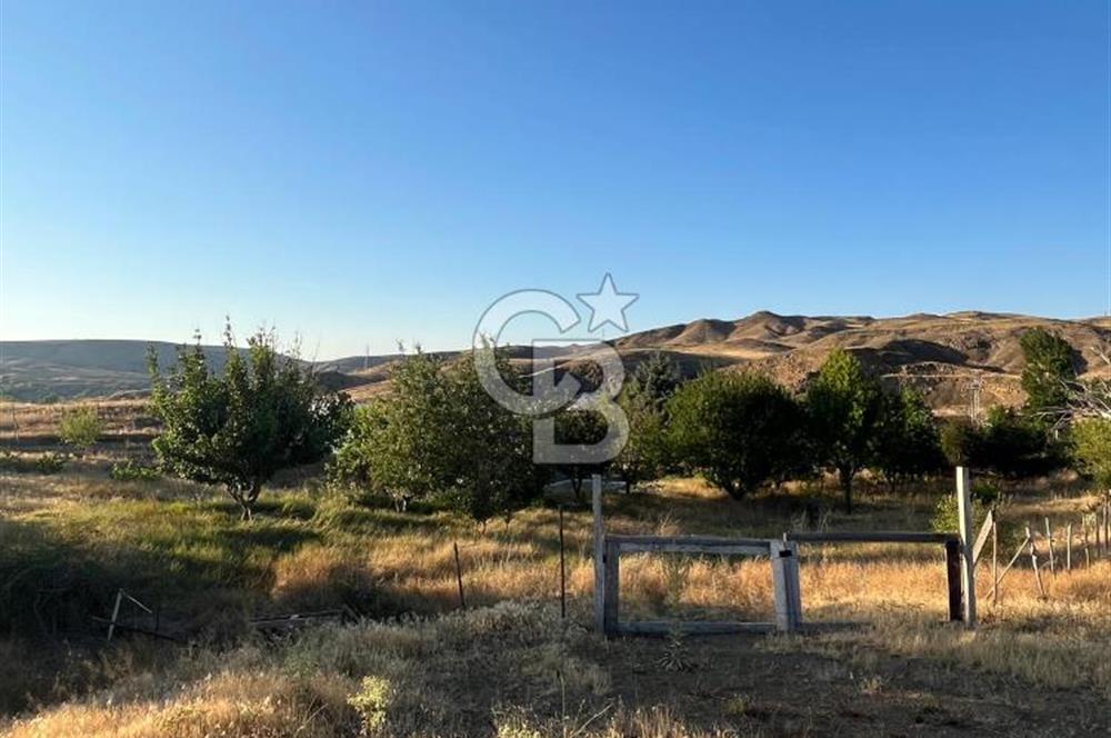 YOZGAT ŞEFAATLİ YOL AYIRIMINDA SALMANFAKILI KÖYÜNDE YATIRIMLIK BAHÇE&TARLA