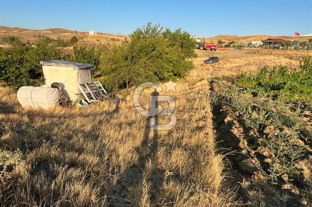 YOZGAT ŞEFAATLİ YOL AYIRIMINDA SALMANFAKILI KÖYÜNDE YATIRIMLIK BAHÇE&TARLA