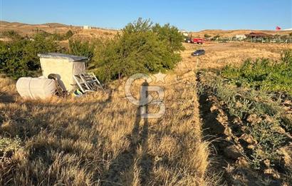 YOZGAT ŞEFAATLİ YOL AYIRIMINDA SALMANFAKILI KÖYÜNDE YATIRIMLIK BAHÇE&TARLA