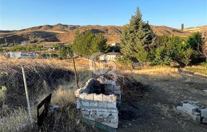 YOZGAT ŞEFAATLİ YOL AYIRIMINDA SALMANFAKILI KÖYÜNDE YATIRIMLIK BAHÇE&TARLA