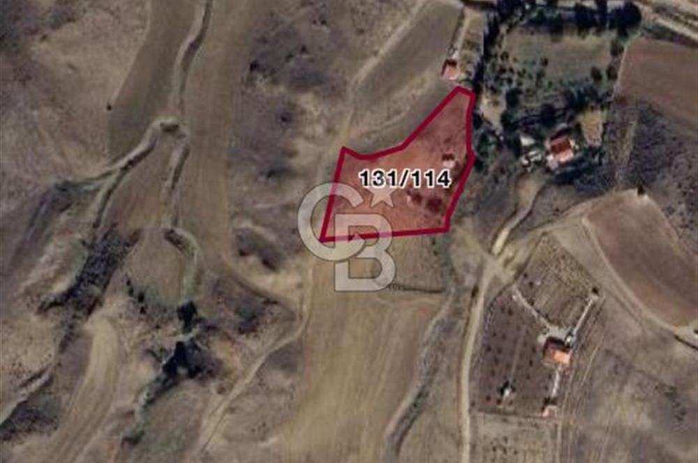 YOZGAT ŞEFAATLİ YOL AYIRIMINDA SALMANFAKILI KÖYÜNDE YATIRIMLIK BAHÇE&TARLA