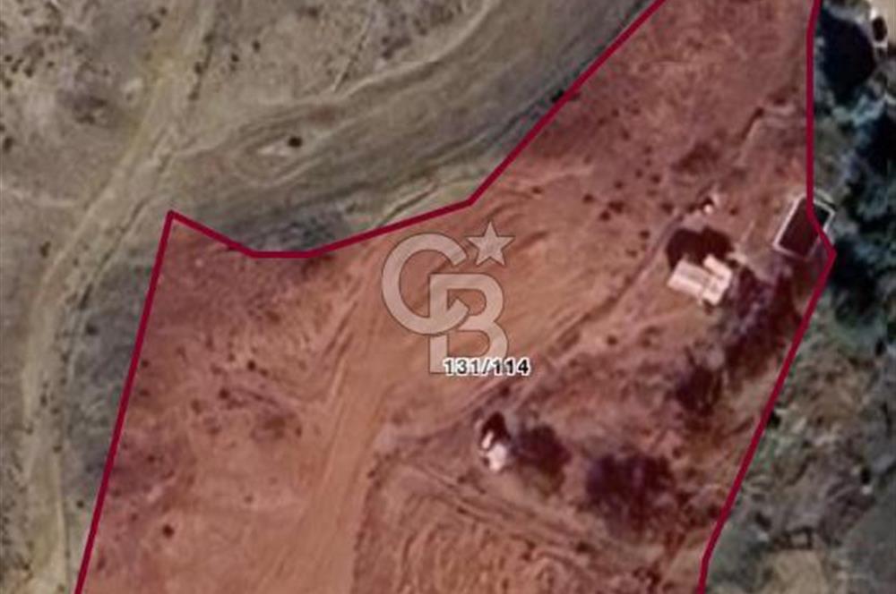 YOZGAT ŞEFAATLİ YOL AYIRIMINDA SALMANFAKILI KÖYÜNDE YATIRIMLIK BAHÇE&TARLA