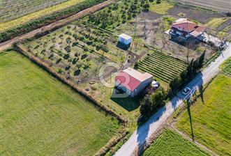 FOÇA GERENKÖY'DE MÜSTAKİL TAPULU SATILIK TARLA ÜZERİNDE 3+1 YAPI - 2 - 330834