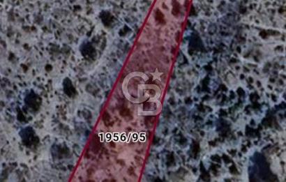 ANKARA / ELMADAĞ / YENİMAHALLE / SATILIK BAĞ YERİ