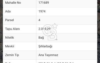 ANKARA / ELMADAĞ / YENİMAHALLE / SATILIK BAĞ YERİ