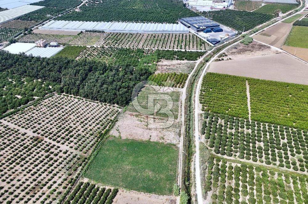 Mersin Akdeniz Evci Mahallesinde 5643 m2 Yatırımlık Arazi