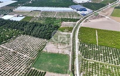 Mersin Akdeniz Evci Mahallesinde 5643 m2 Yatırımlık Arazi