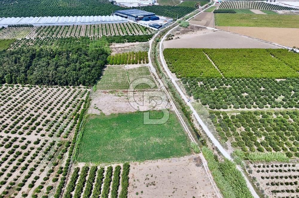 Mersin Akdeniz Evci Mahallesinde 5643 m2 Yatırımlık Arazi