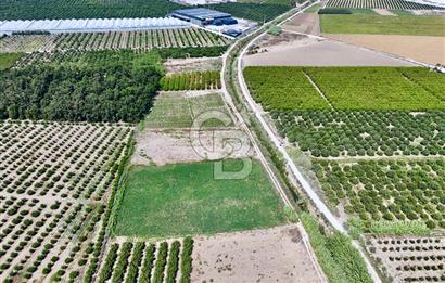 Mersin Akdeniz Evci Mahallesinde 5643 m2 Yatırımlık Arazi