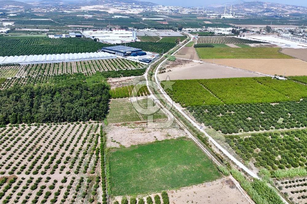 Mersin Akdeniz Evci Mahallesinde 5643 m2 Yatırımlık Arazi