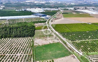 Mersin Akdeniz Evci Mahallesinde 5643 m2 Yatırımlık Arazi