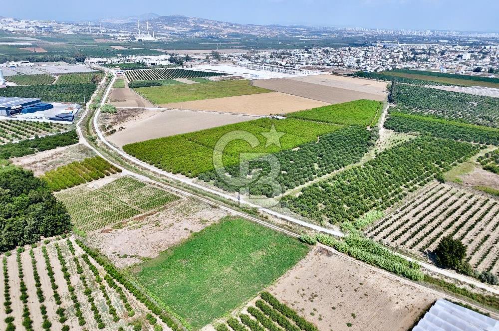 Mersin Akdeniz Evci Mahallesinde 5643 m2 Yatırımlık Arazi