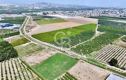 Mersin Akdeniz Evci Mahallesinde 5643 m2 Yatırımlık Arazi