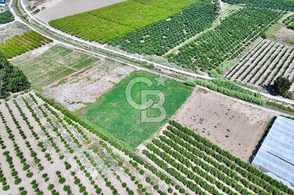 Mersin Akdeniz Evci Mahallesinde 5643 m2 Yatırımlık Arazi