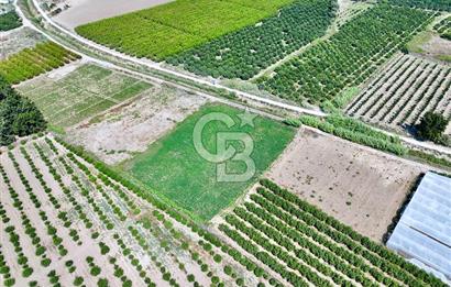 Mersin Akdeniz Evci Mahallesinde 5643 m2 Yatırımlık Arazi